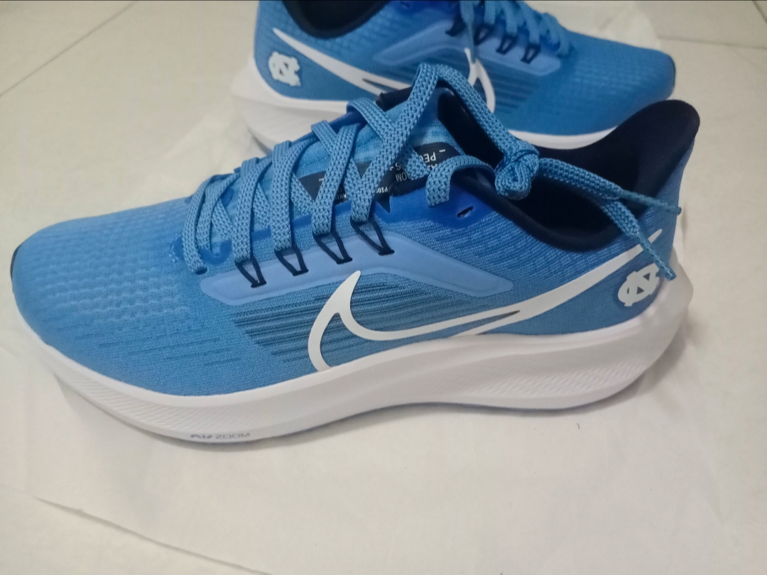 Nike Air Zoom Pegasus 39 Royal Blue White review Zachary 01