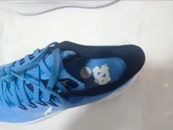 Nike Air Zoom Pegasus 39 Royal Blue White review Zachary 02