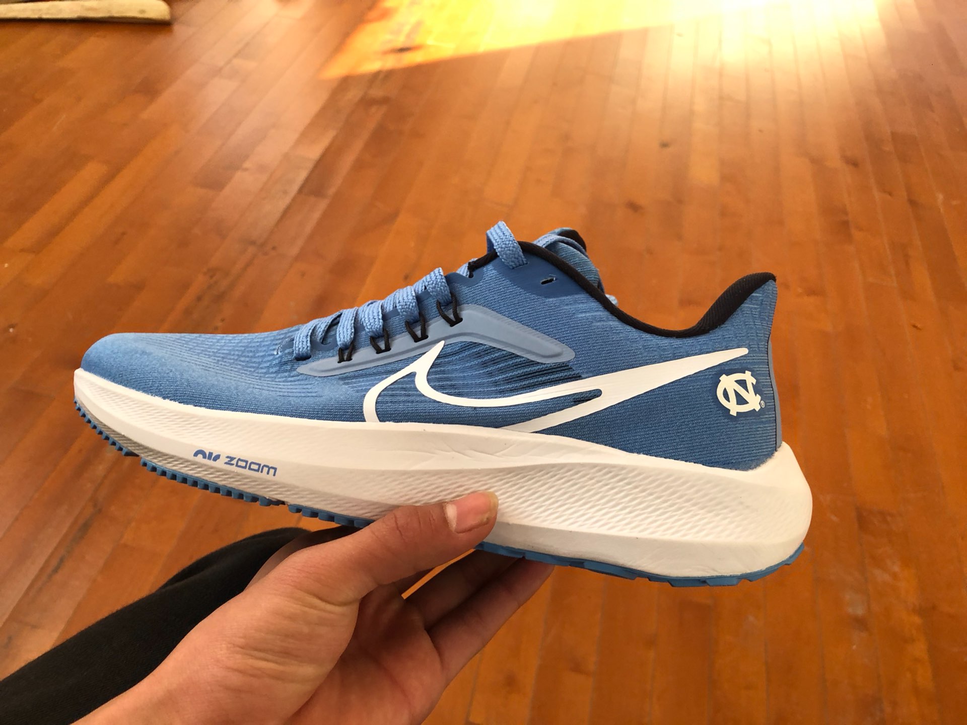 Nike Air Zoom Pegasus 39 Royal Blue White review Jessica