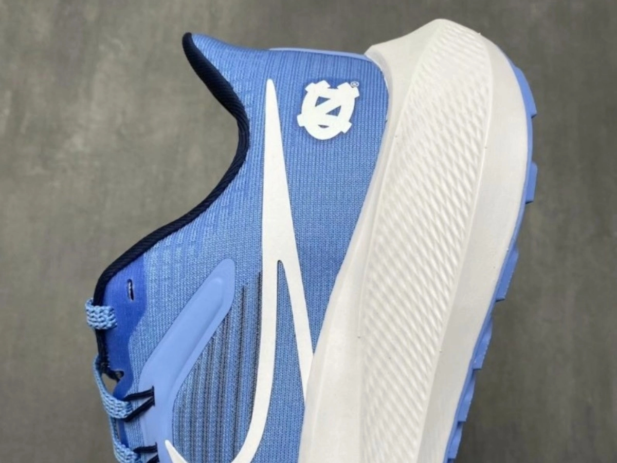 Nike Air Zoom Pegasus 39 Royal Blue White review Daniel