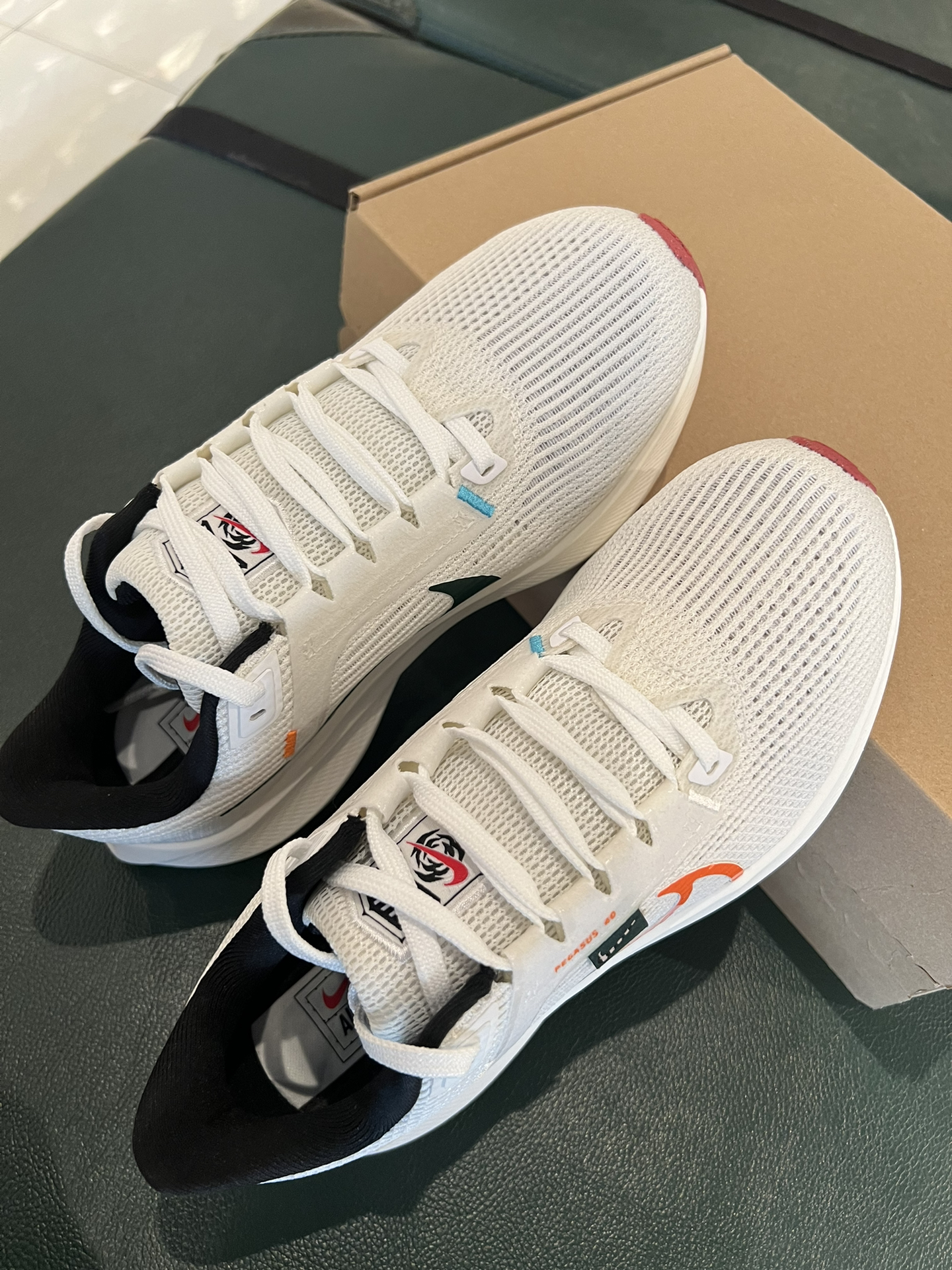 Nike Air Zoom Pegasus 40 White Colored Hook review Casey 01