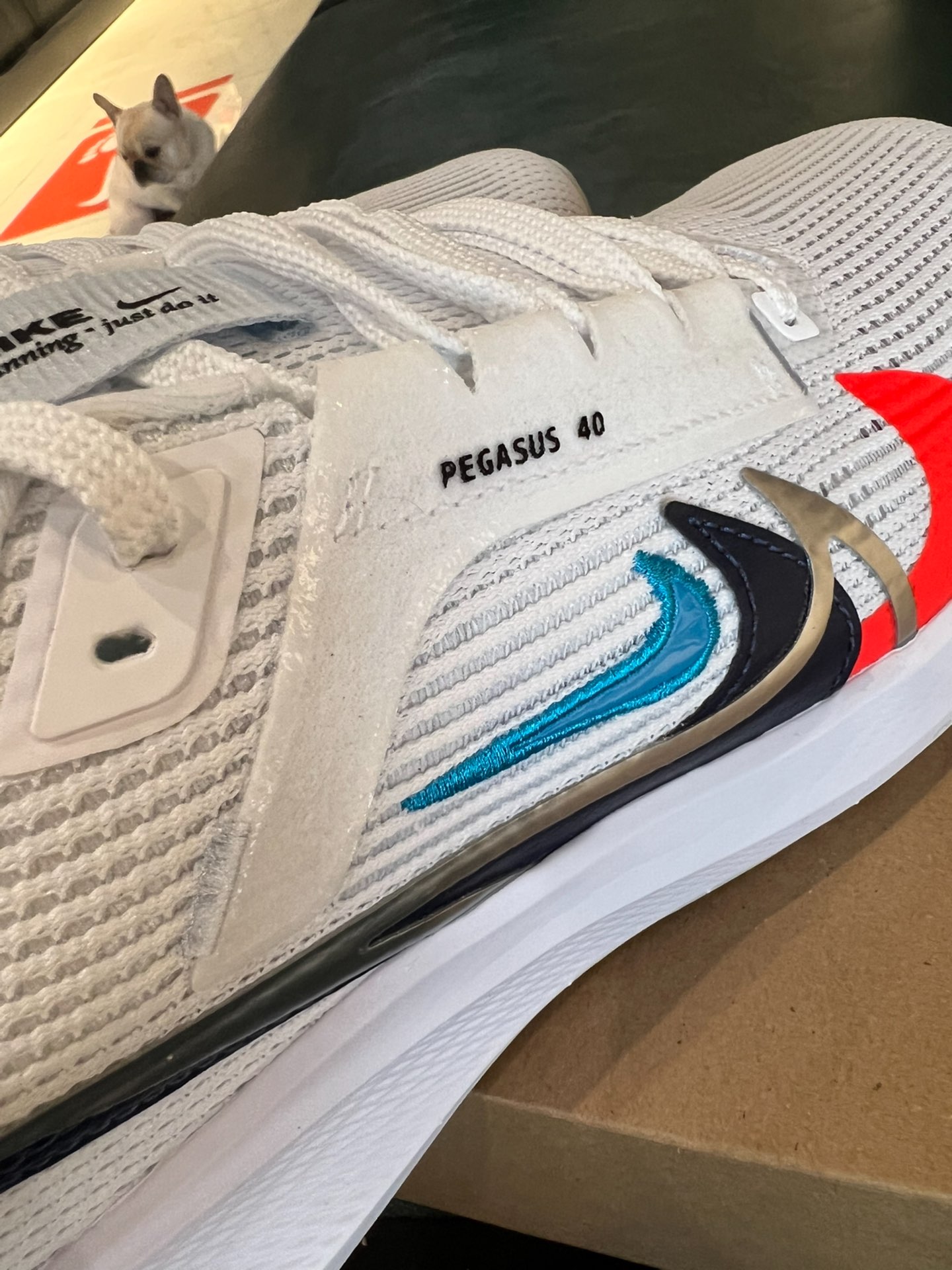 Nike Air Zoom Pegasus 40 Black Orange Blue review Alex 03