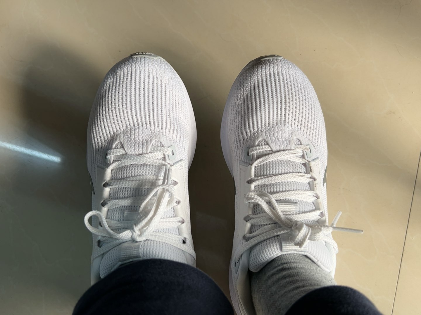 Nike Air Zoom Pegasus 40 Silver review Pat 01