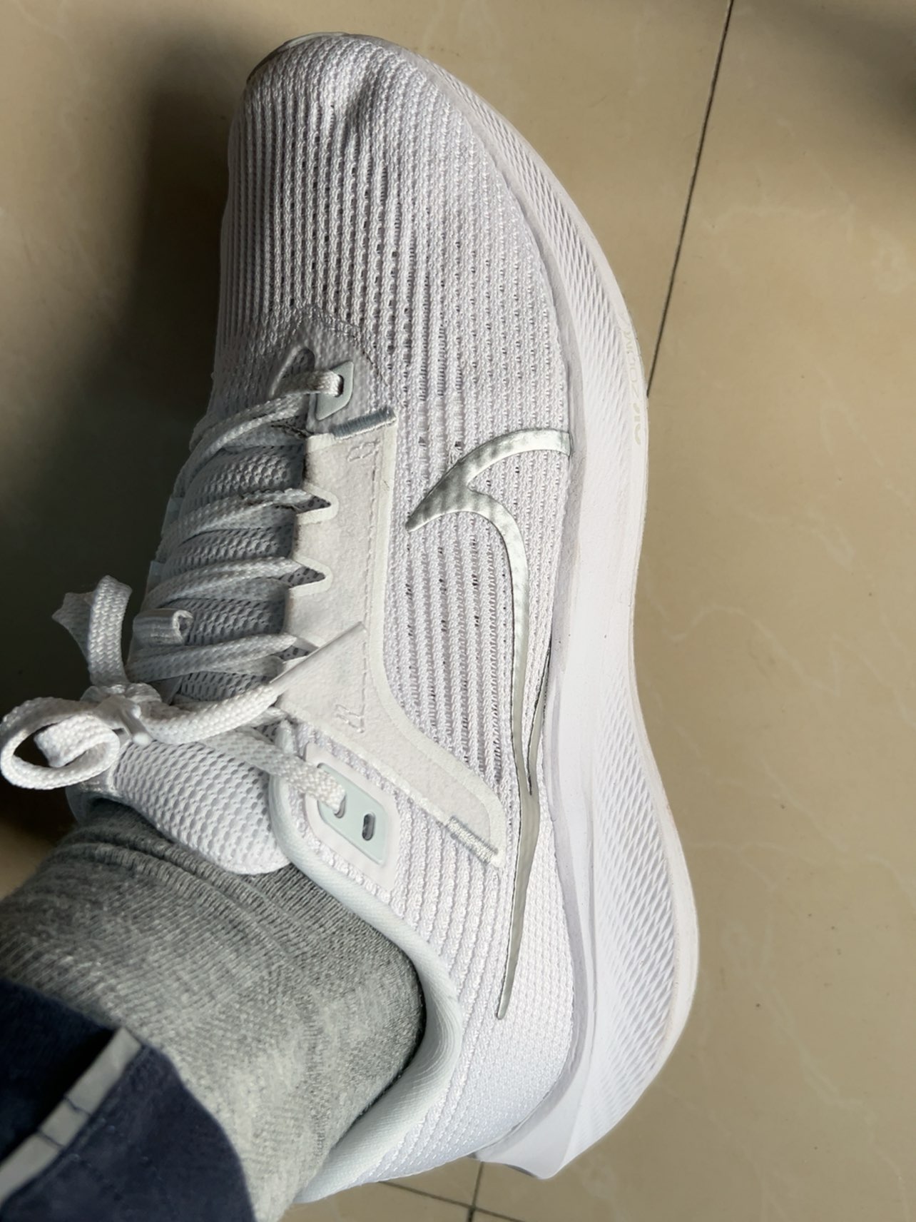 Nike Air Zoom Pegasus 40 Silver review Pat 02