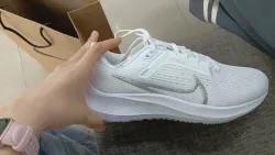 Nike Air Zoom Pegasus 40 Silver review Jordan