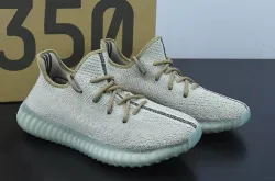 AH Adidas Yeezy Boost 350 V2 Zyon review DebOrt 01