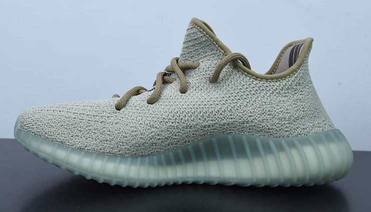 AH Adidas Yeezy Boost 350 V2 Zyon review DebOrt 03