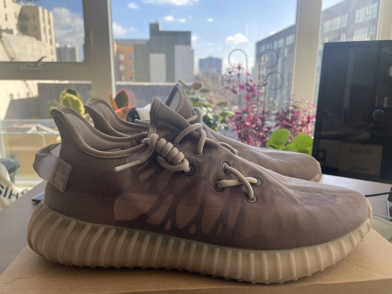 AH Adidas Yeezy Boost 350 V2 Mono Mist review Jelene Calderon 01