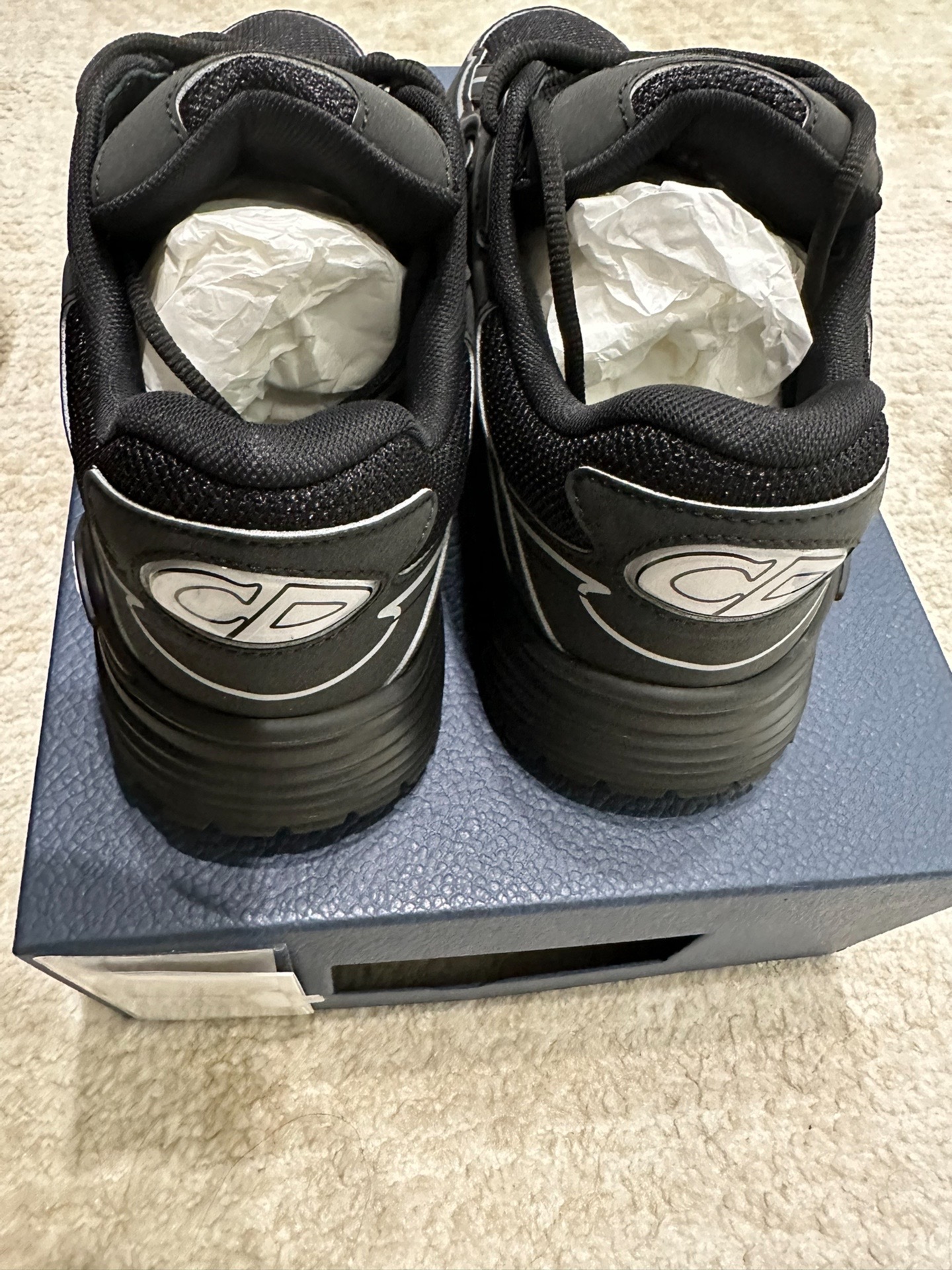Dior Light Grey 'B30' Sneakers New Reflective review 1