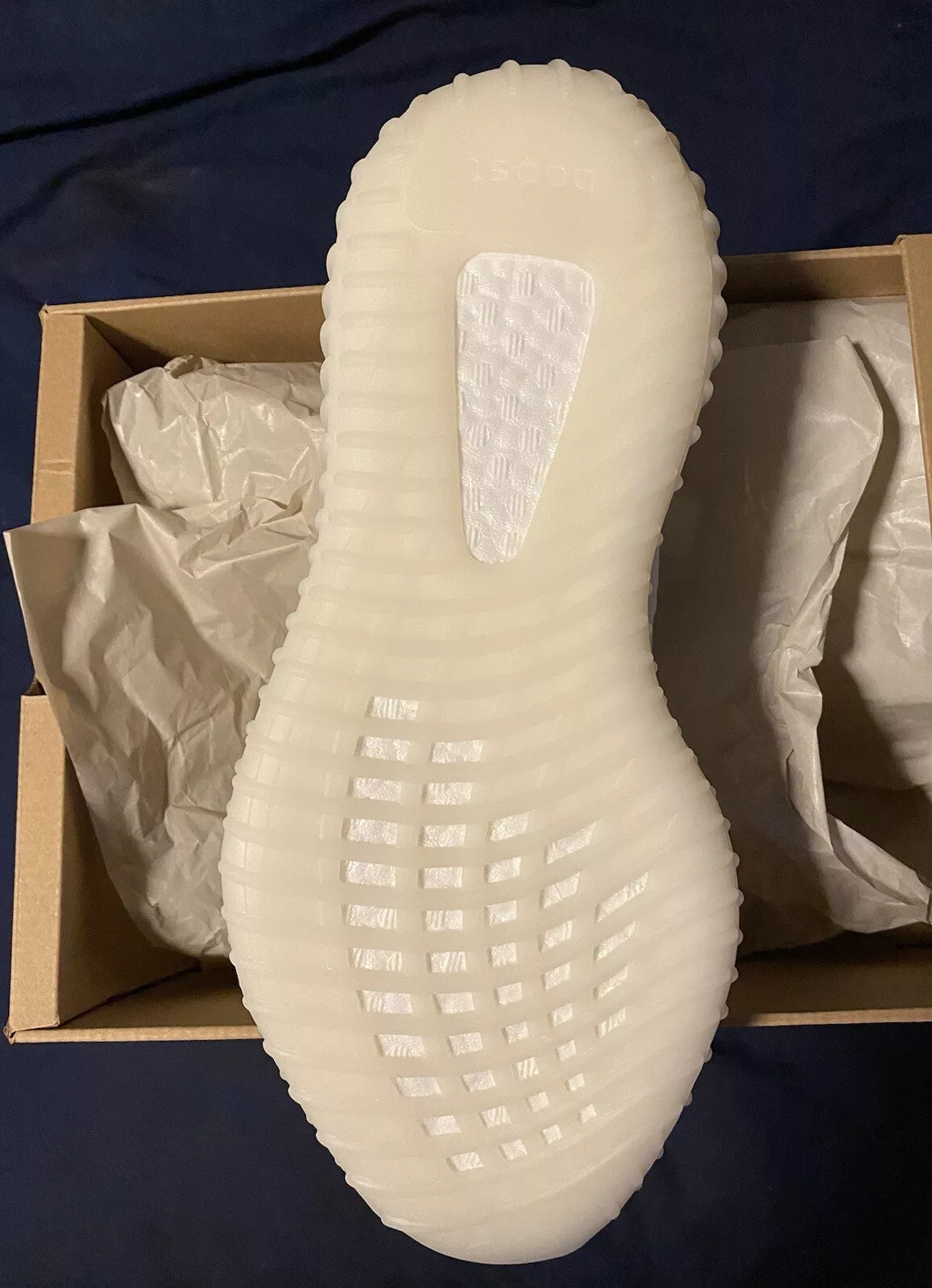 OQ Adidas Yeezy Boost 350 V2 Bone review Wendy Campbell 01