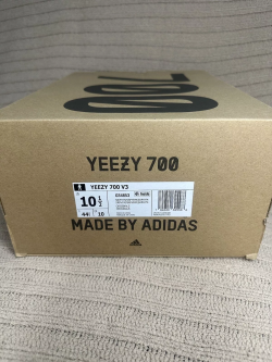 S2 Adidas Yeezy Boost 700 V3 Srphym review Obinna 03