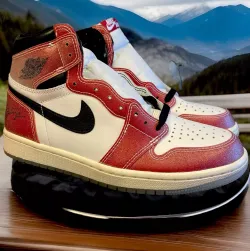 Trophy Room x Air Jordan 1 Retro High OG review Teed 01