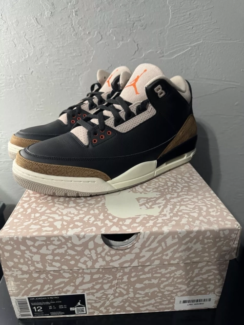 BS Air Jordan 3 Desert Elephant review 