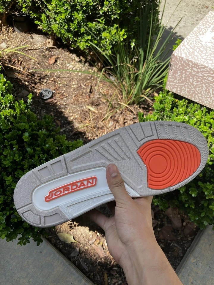 BS Air Jordan 3 Desert Elephant review Marya 01