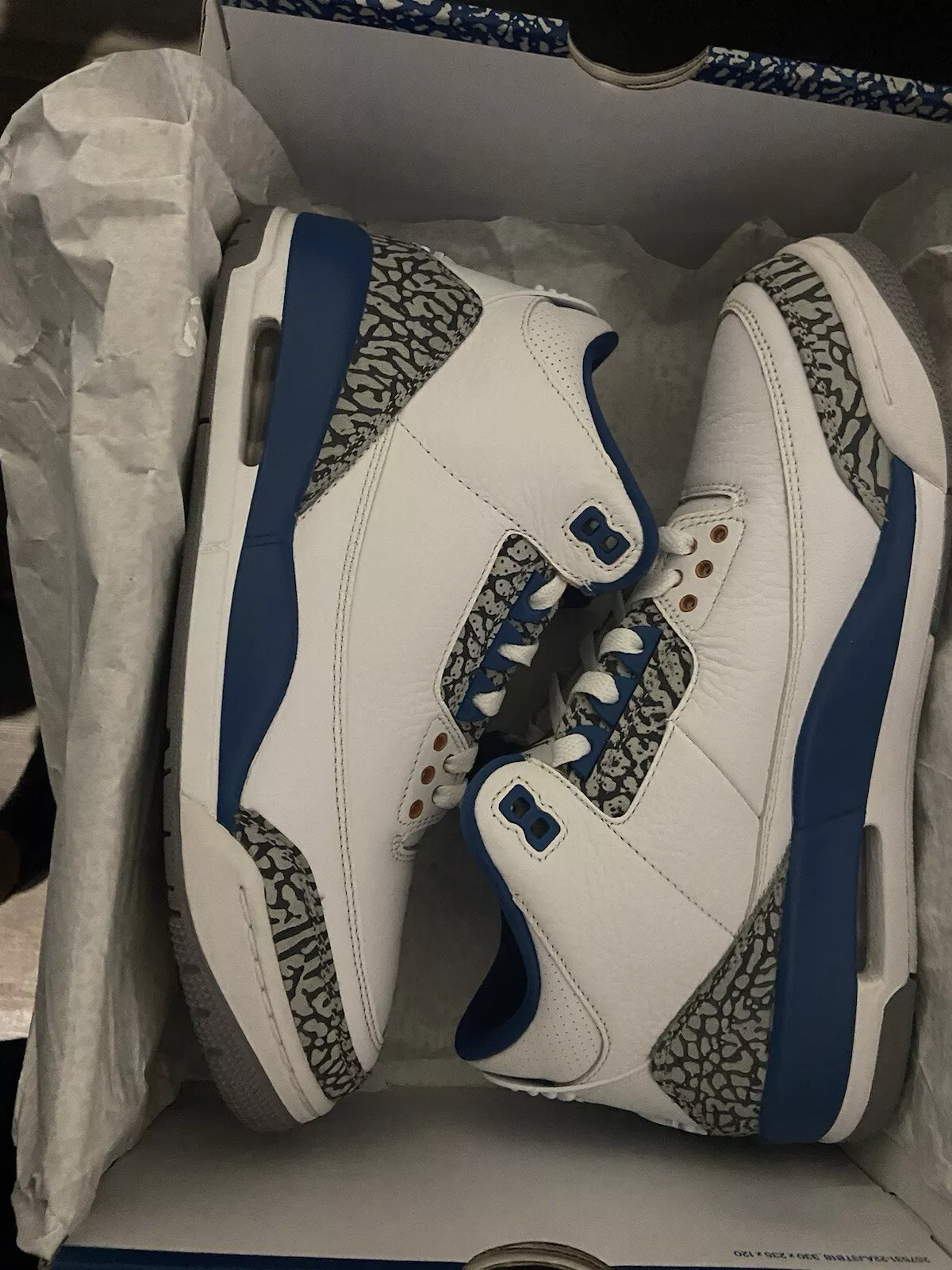 BS Air Jordan 3 Retro wizards review Lion 02