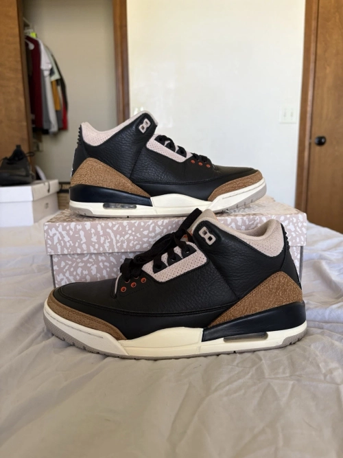 PB Air Jordan 3 Desert Elephant review 