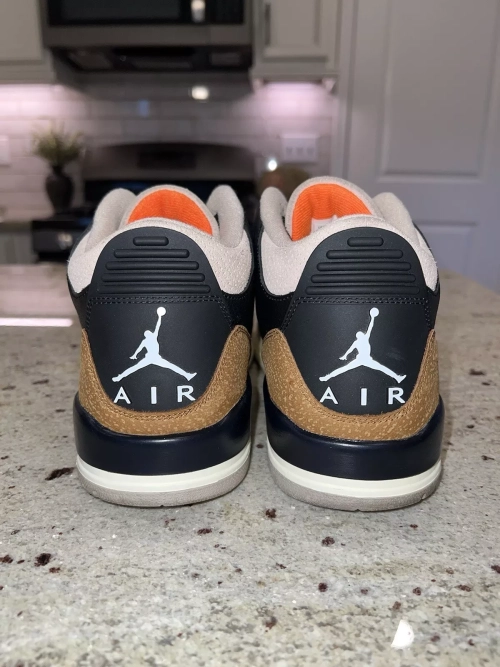 PB Air Jordan 3 Desert Elephant review 