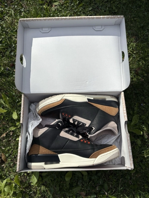 LS Air Jordan 3 Retro 'Desert Elephant' review 