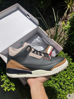LS Air Jordan 3 Retro 'Desert Elephant' review Nick 02