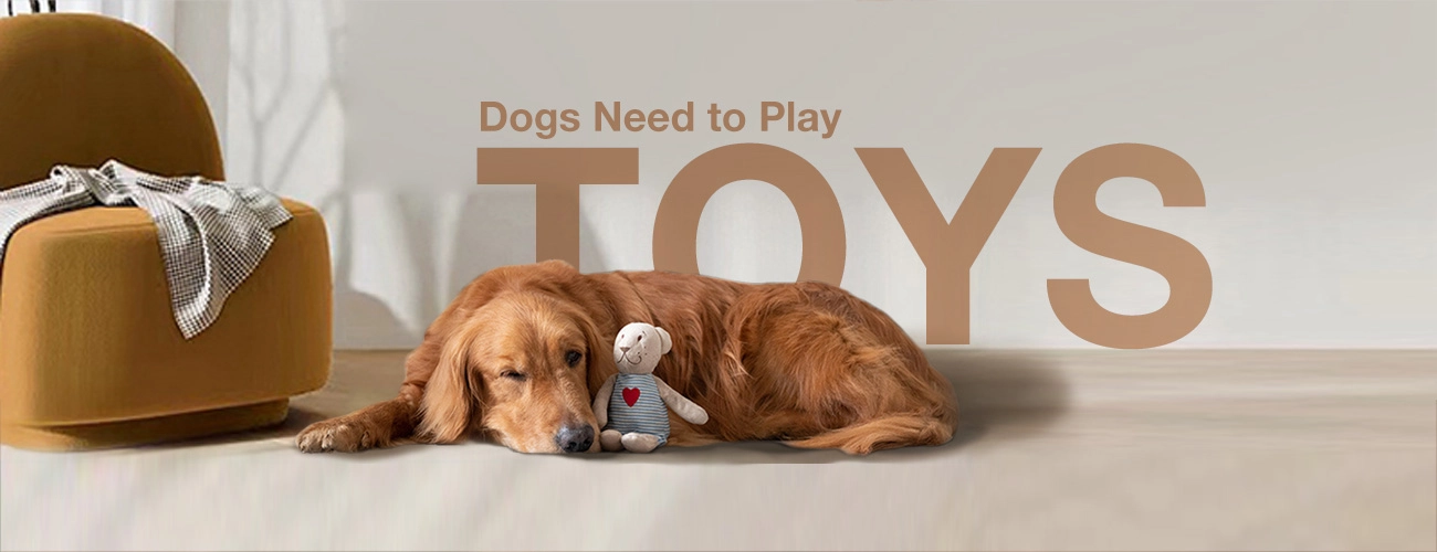 DOG Toys