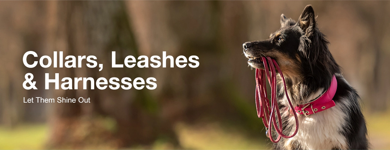 DOG Collars, Leashes & Harnesses