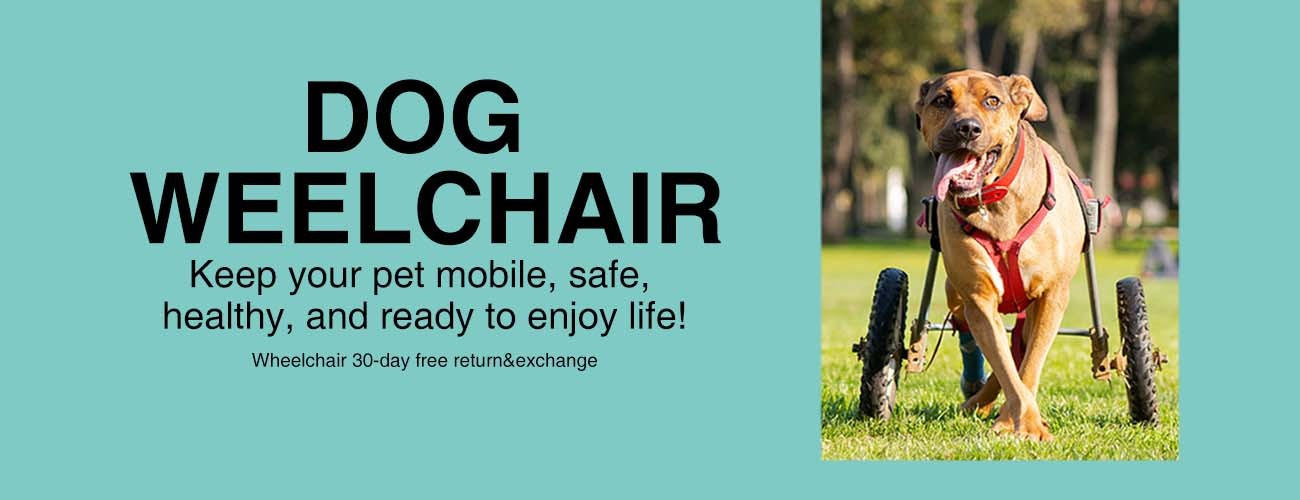 Dog Wheelchairs