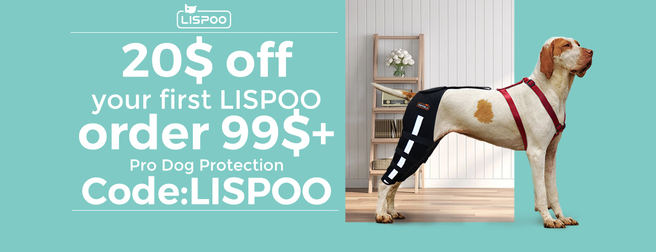 LISPOO