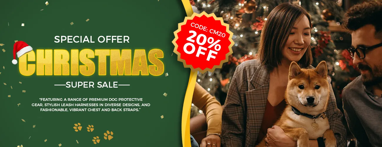 Christmas Special