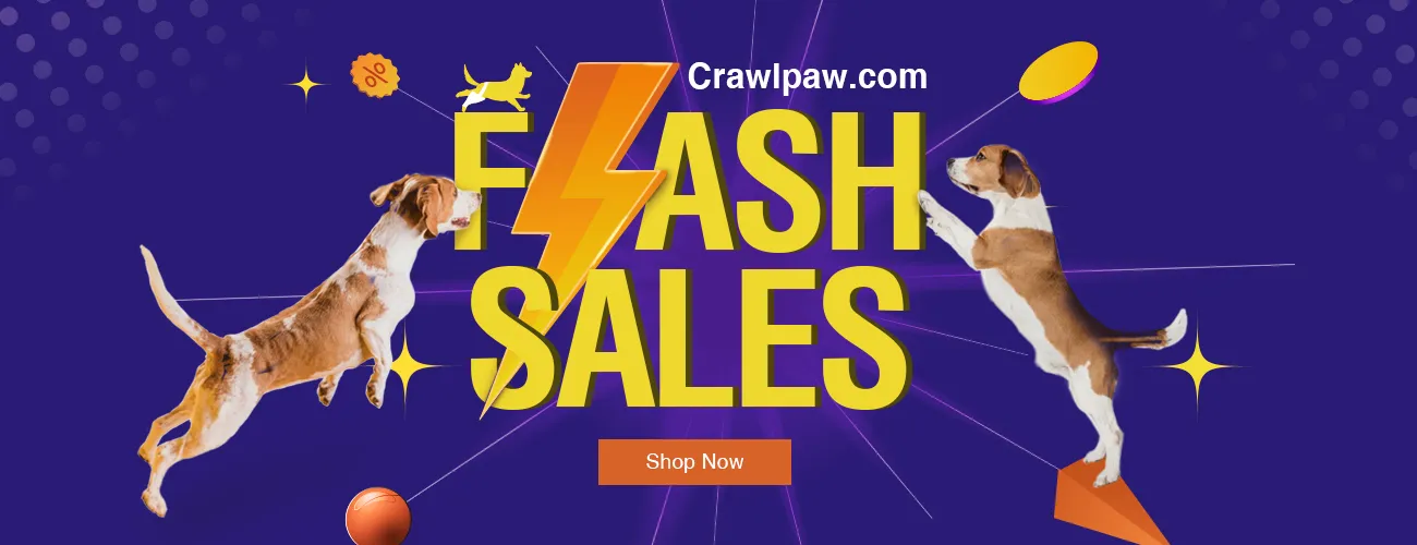 FLASH SALE