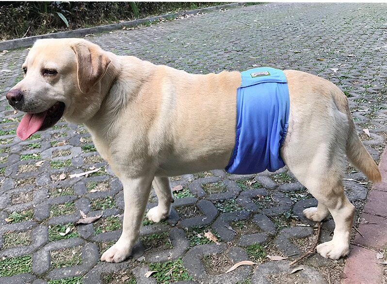 DOGLEMI Reusable Washable Dog Belly Band