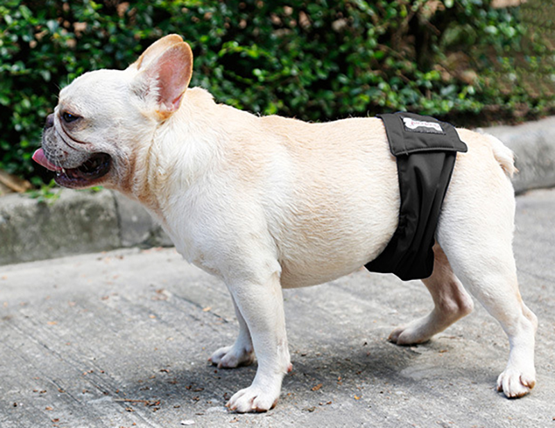 DOGLEMI Reusable Washable Dog Belly Band