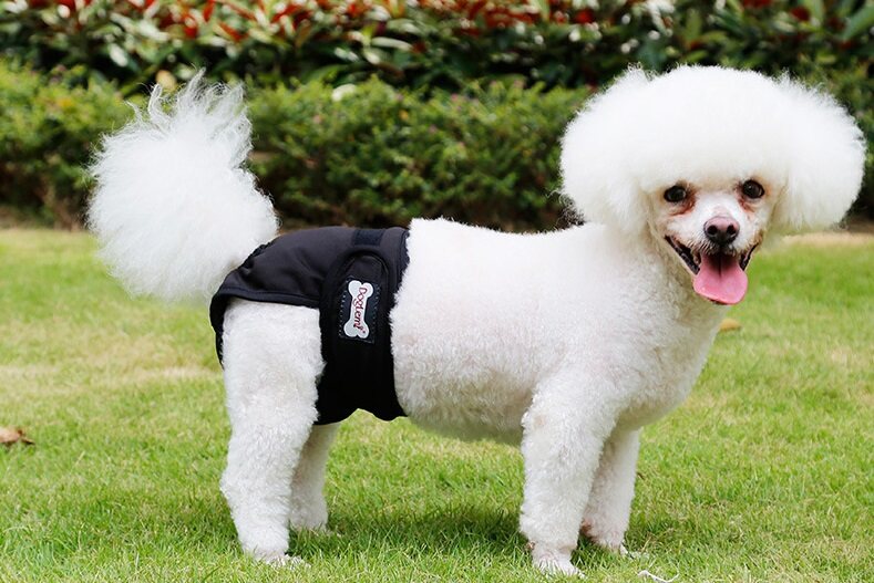 DOGLEMI Washable Reusable Female Dog Diapers