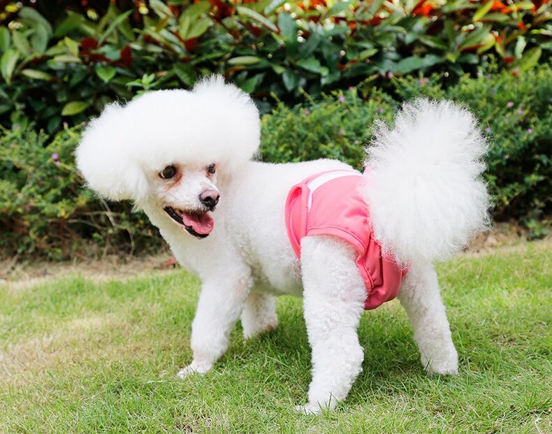 DOGLEMI Washable Reusable Female Dog Diapers