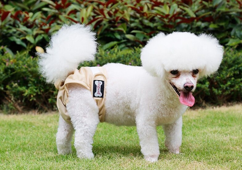 DOGLEMI Washable Reusable Female Dog Diapers