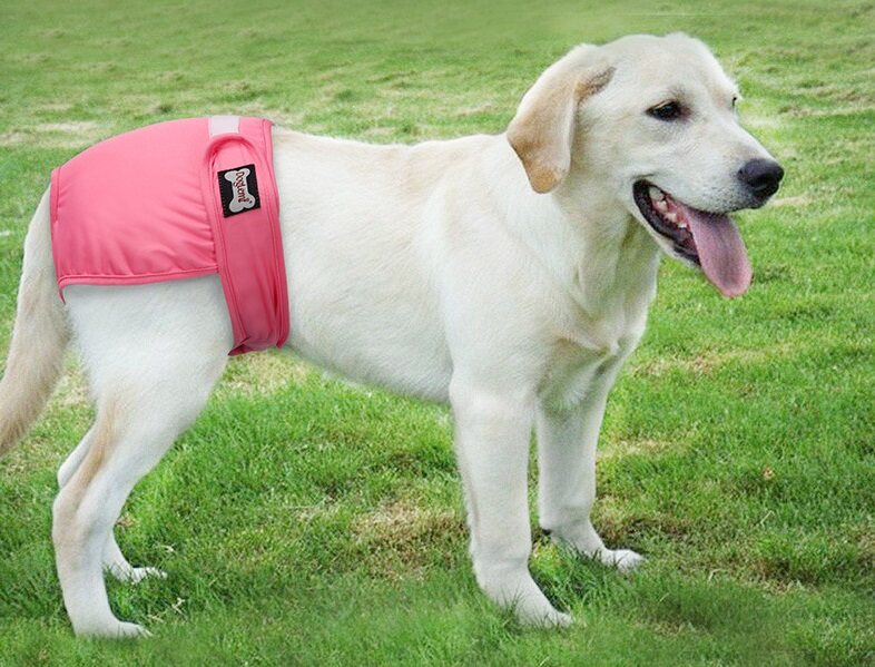 DOGLEMI Washable Reusable Female Dog Diapers