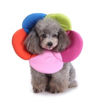 Dog Cones Elizabethan Collar Flower Shaped Recovery Collar