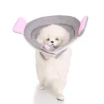 Dog Cones Recovery Collar