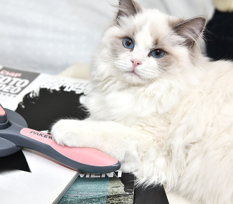 Cat Dog Hair Removal Beauty Massage Brush