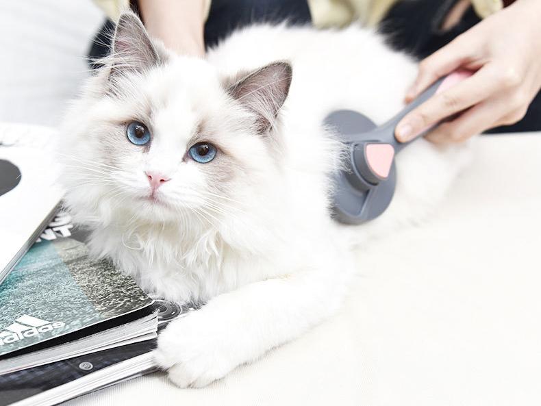 Cat Dog Hair Removal Beauty Massage Brush