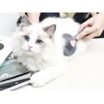 Cat Dog Hair Removal Beauty Massage Brush