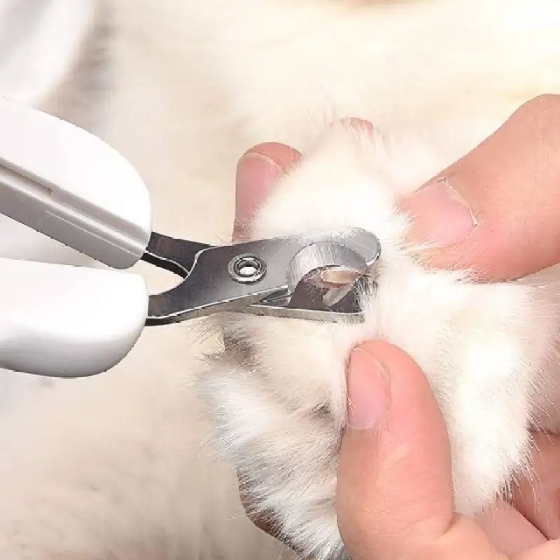 Cat Dog Stainless Steel Nail Clipper03