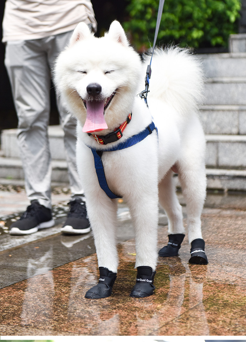 Dog Waterproof Rain Boots