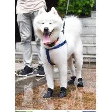 Dog Waterproof Rain Boots05