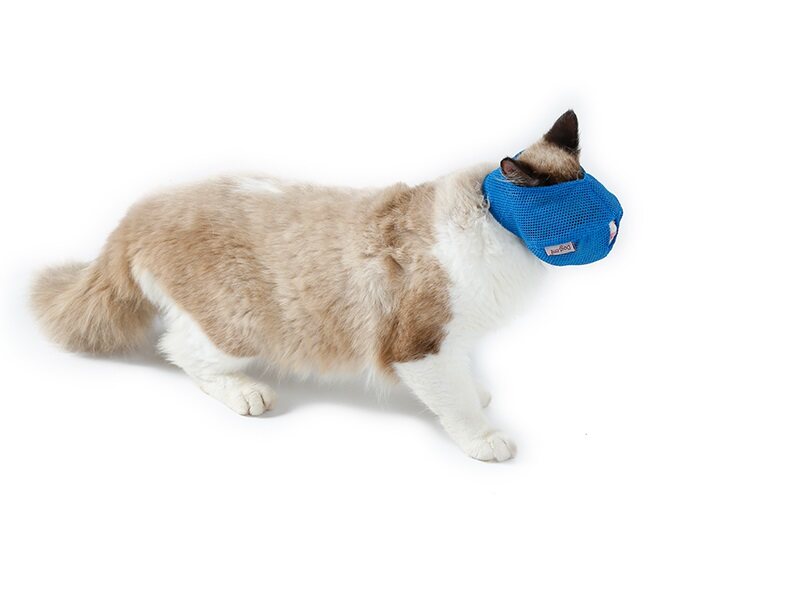 DOGLEMI Cat Muzzle Breathable Mesh Muzzle Adjustable Cat Mask That Prevents Eating Biting And Barking