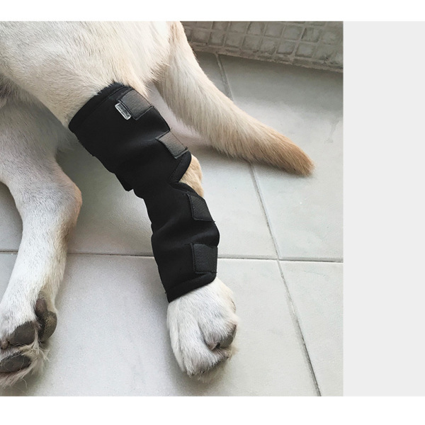 DOGLEMI Dog Leg Covers Front Leg Hind Leg Joints For Tear ACL Knee Pads