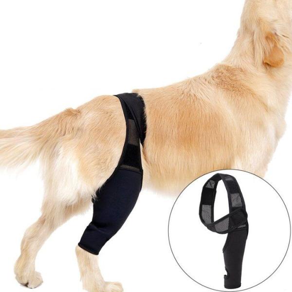 DOGLEMI Dog Rear Leg Brace for Fix Patella Dislocation