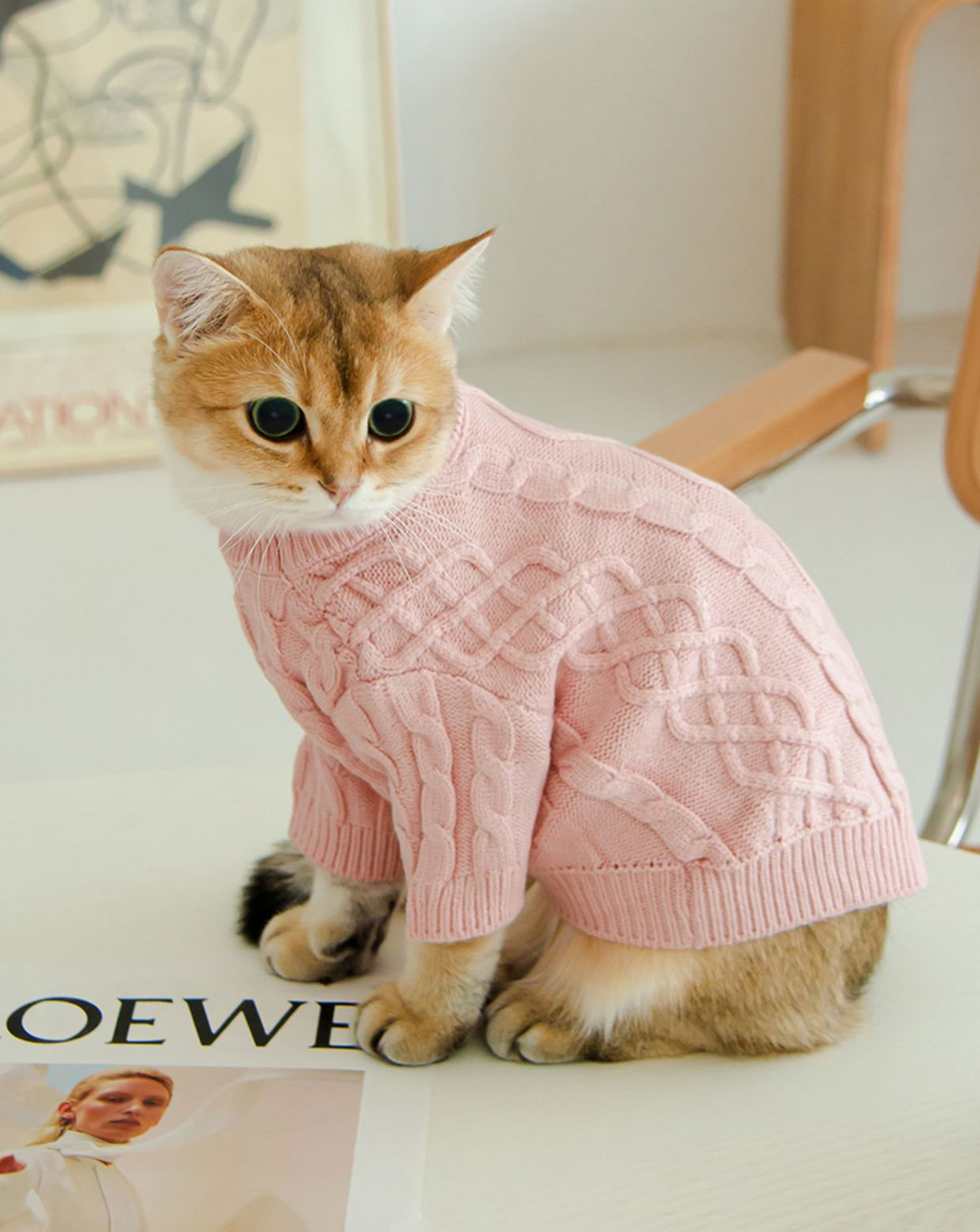 Cat Twist Knitting Sweater Warm And Comfortable Cat Autumn And Winter Clothing