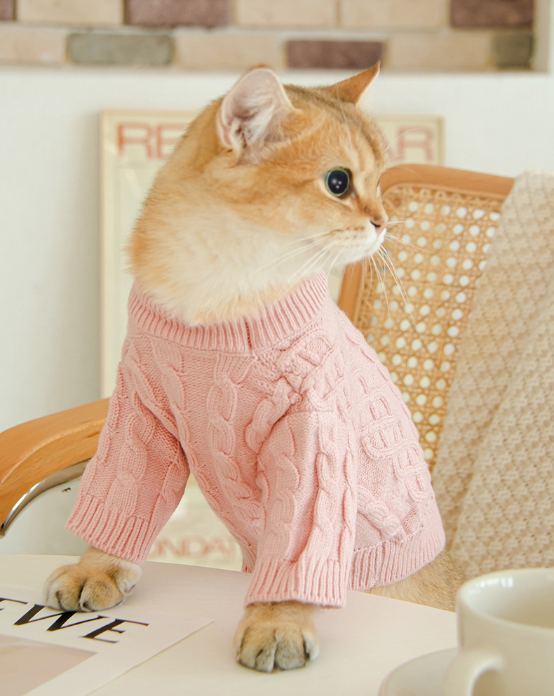 Cat Twist Knitting Sweater Warm And Comfortable Cat Autumn And Winter Clothing