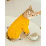 Cat Twist Knitting Sweater Warm And Comfortable Cat Autumn And Winter Clothing
