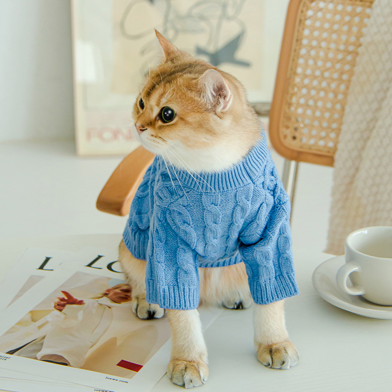 Cat Twist Knitting Sweater Warm And Comfortable Cat Autumn And Winter Clothing